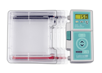 Labnet Enduro Gel XL Complete Electrophoresis System