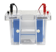 Labnet Enduro Vertical Electrophoresis Systems
