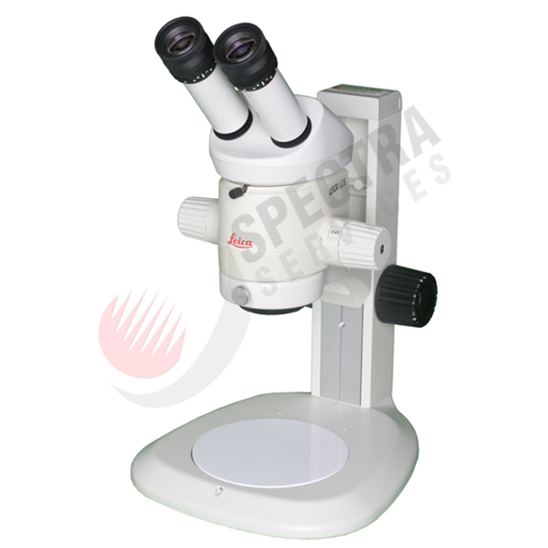 Leica MZ6 Stereo Microscope, 10x/23mm Eyepieces on Table Stand Lab