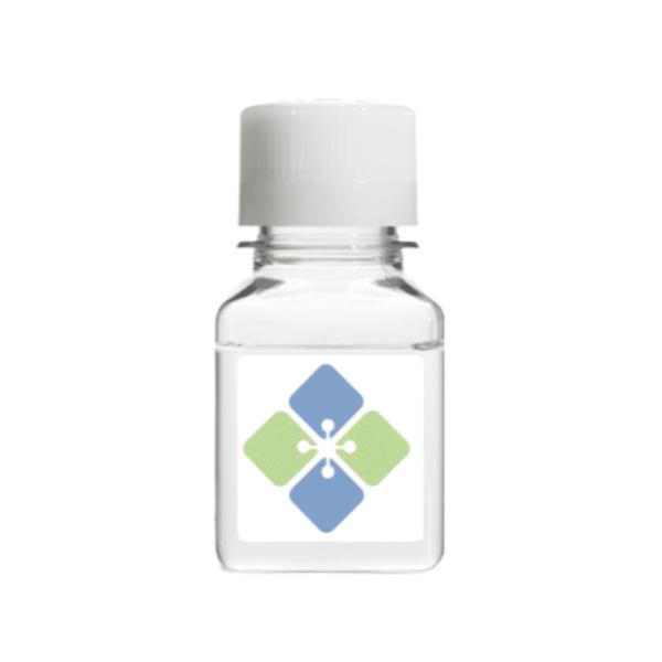 glutathione s transferase tag gst binding to Purification of GST-Tagged Proteins Glutathione-S -Transferase (GST)-Fusion Based Assays for – Beyond Purification: Evolving Roles of – glutathione s transferase gst affinity