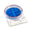 Simport Coredish Prostate Biopsy Container M971-D8P