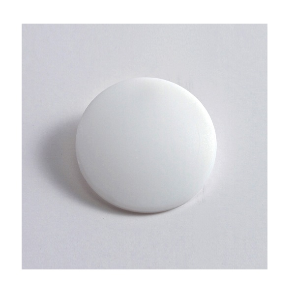 Dynalon Watch Glass Covers, PTFE 315304 Lab Equipment
