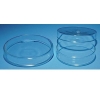 United Scientific 60 X 15 mm Petri Dishes, Borosilicate Glass G1060