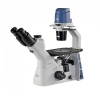 Accu Scope EXI-310 Trinocular Microscope with Plan Phase Objectives EXI-310-PH
