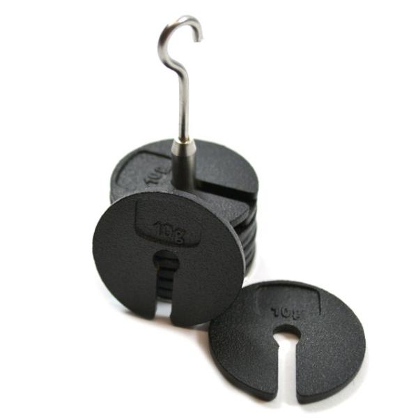 Eisco Labs Slotted Masses Set- Zinc Casted, Set of 9 Weights, One ...