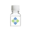 Molecular Depot NativeLyser Soluble Protein Lysis Buffer B2010007