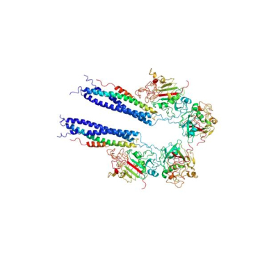 Molecular Depot Fibrinogen from Bovine Plasma Lyophilized P2010009