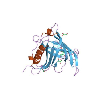 Molecular Depot Retinol Binding Protein RBP Solution P2010013