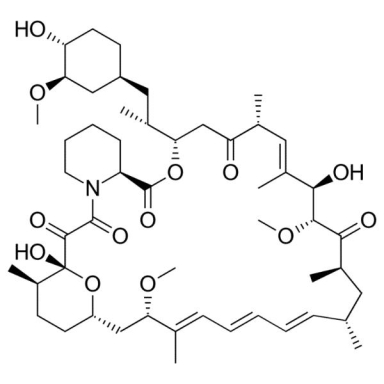 Molecular Depot Sirolimus BSA Conjugate Solution P2010025