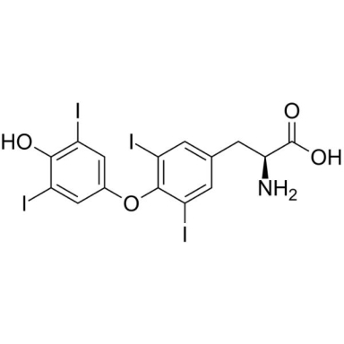 Molecular Depot Thyroxine BSA Conjugate Solution P2010027
