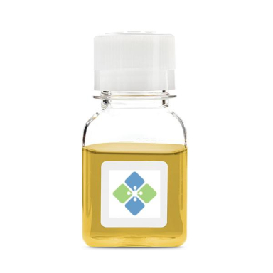 Molecular Depot Rheumatoid Factor Solution S2010001