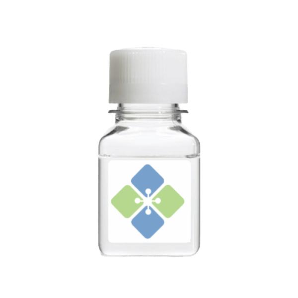Molecular Depot Biocytin (Highly Pure) B2012517