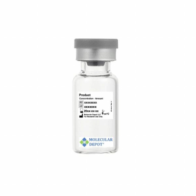 Molecular Depot Rabbit Polyclonal Heme Oxygenase 1/HMOX1 (E2-T261) Antibody (Mouse, Rat) B2023320