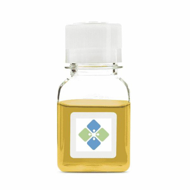 Molecular Depot High Rheumatoid Factor Positive Serum B2010861