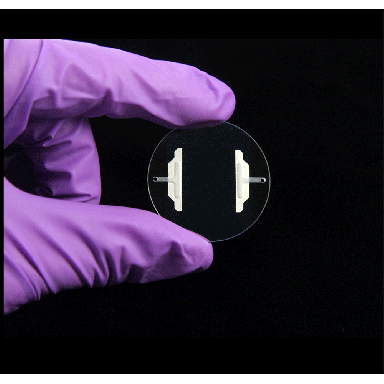 Bioptechs Microaqueduct Slides (5/pk) 130119-5NC