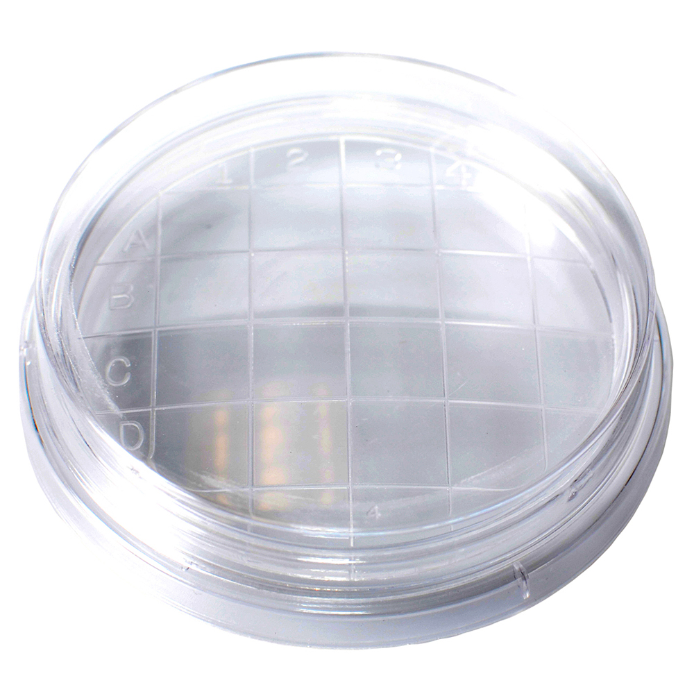 Bioplast Kord 100 x 15 Mono Petri Dish, Slippable Lab Equipment