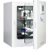 Being BIO-80 Air Jacketed CO2 Incubator 2.8 Cu Ft. (80 Liters)