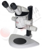 Leica MZ6 Stereozoom Microscope with Ergo Head
