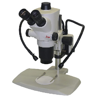 Leica S APO Stereo Microscope with Schott LED Dual Gooseneck