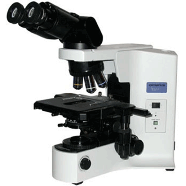 Olympus BX41 Microscope with Tilting Head