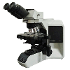 Olympus BX43 Trinocular Microscope
