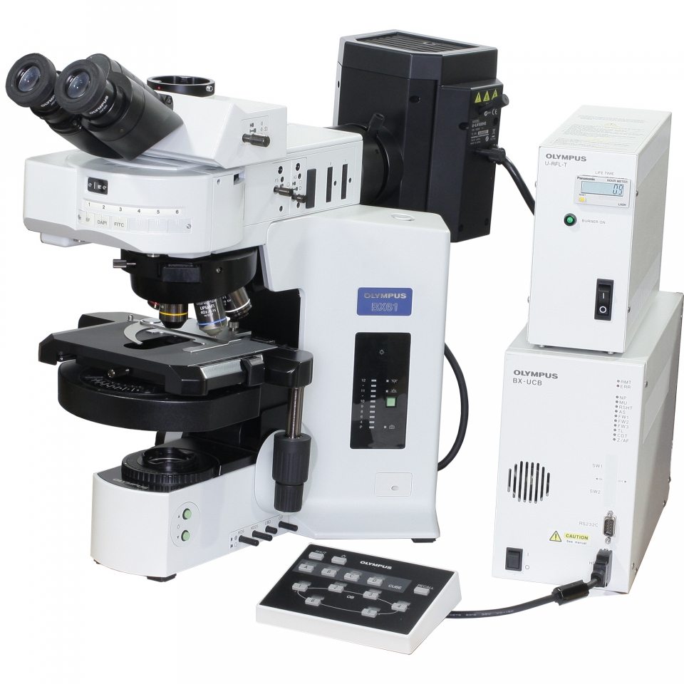 Olympus BX61 Microscope with Tri Head, Fluorescence, Motorized Components