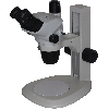 Olympus SZ61TR Trinocular Stereo Microscope on Table Stand