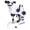 Zeiss Stemi 508 Trinocular Microscope with Dual LED Goosenecks and LED BF/DF Base with adj. Mirror